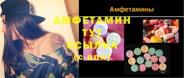 прущий лед Алзамай