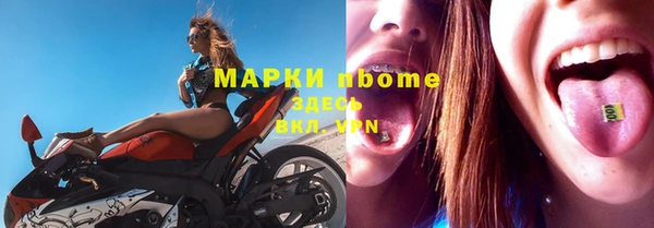 прущий лед Алзамай