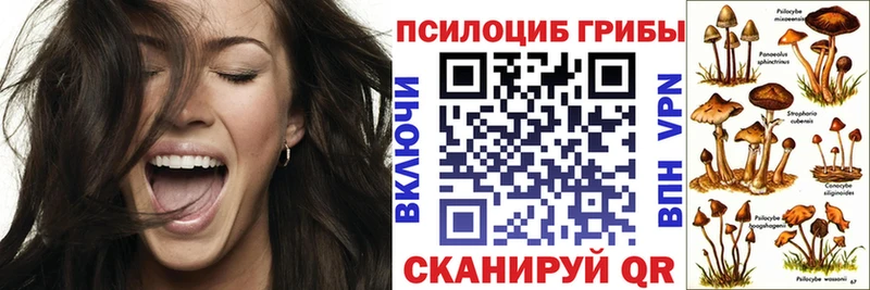 сайты даркнета официальный сайт Балахна Галлюциногенные грибы мухоморы